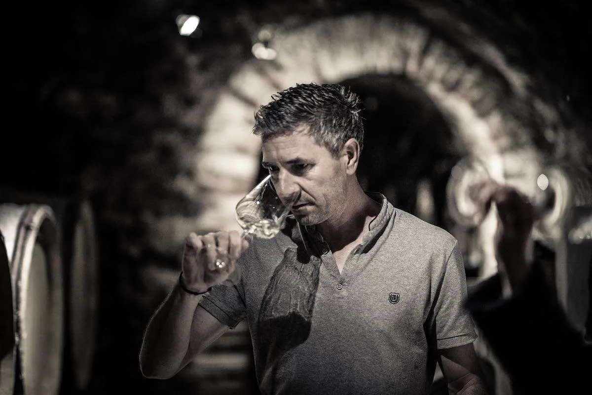 Cellar Curation, Echezo Ibiza